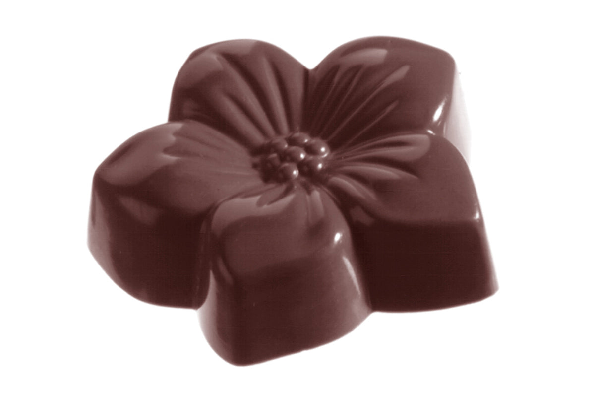 CW1060 - Chocolate World - Chocolate Violet Polycarbonate Mould