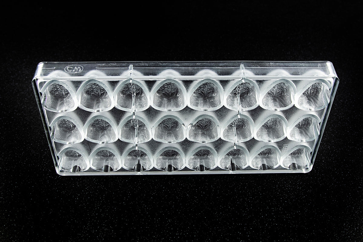 CW1133 - Chocolate World - Chocolate Strawberry Polycarbonate Mould