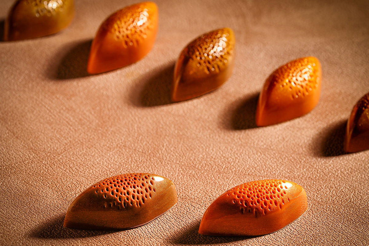 CW12096 - Chocolate World - Cocoa Bean With Bubbles Polycarbonate Mould