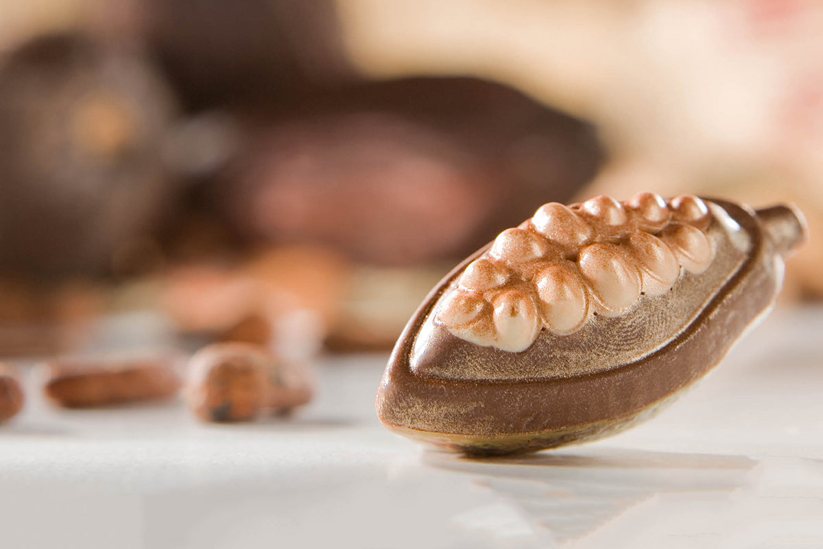 CW1624 - Chocolate World - Open Cocoa Bean Polycarbonate Mould