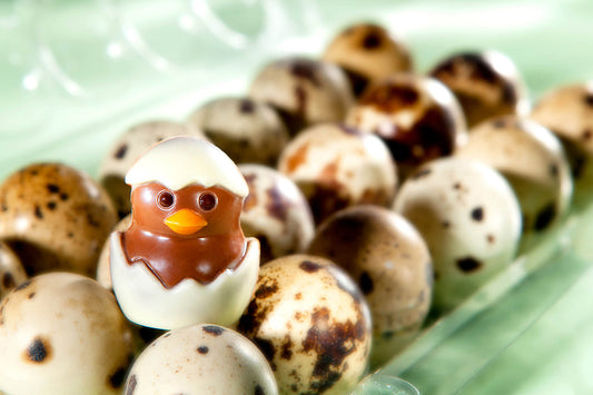 CW1786 - Chocolate World - Chocolate Chick From Egg Polycarbonate Mould