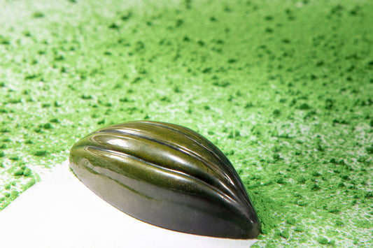 CW1798 - Chocolate World - Cocoa Bean With 6 Lines Polycarbonate Mould
