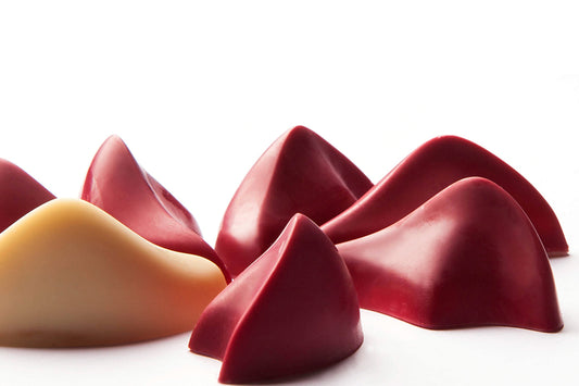 CW1902 - Chocolate World - Praline By Dedy Sutan Polycarbonate Mould