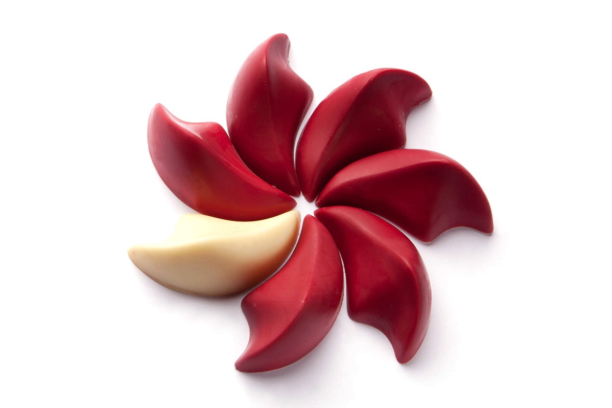CW1902 - Chocolate World - Praline By Dedy Sutan Polycarbonate Mould