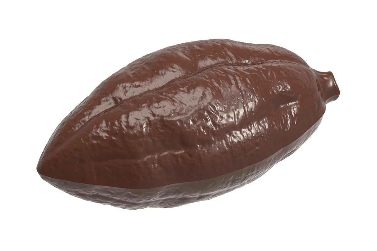 CW1925 - Chocolate World - Cocoa Bean Without Stem Polycarbonate Mould