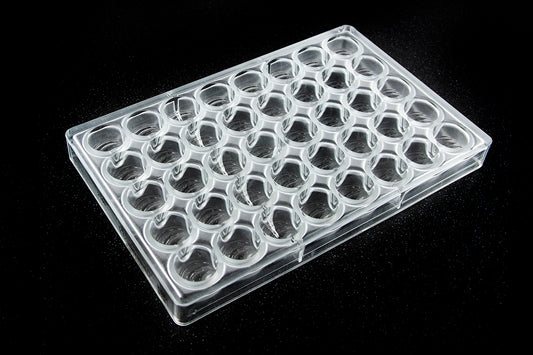CW2169 - Chocolate World - Chocolate Cherry Polycarbonate Mould