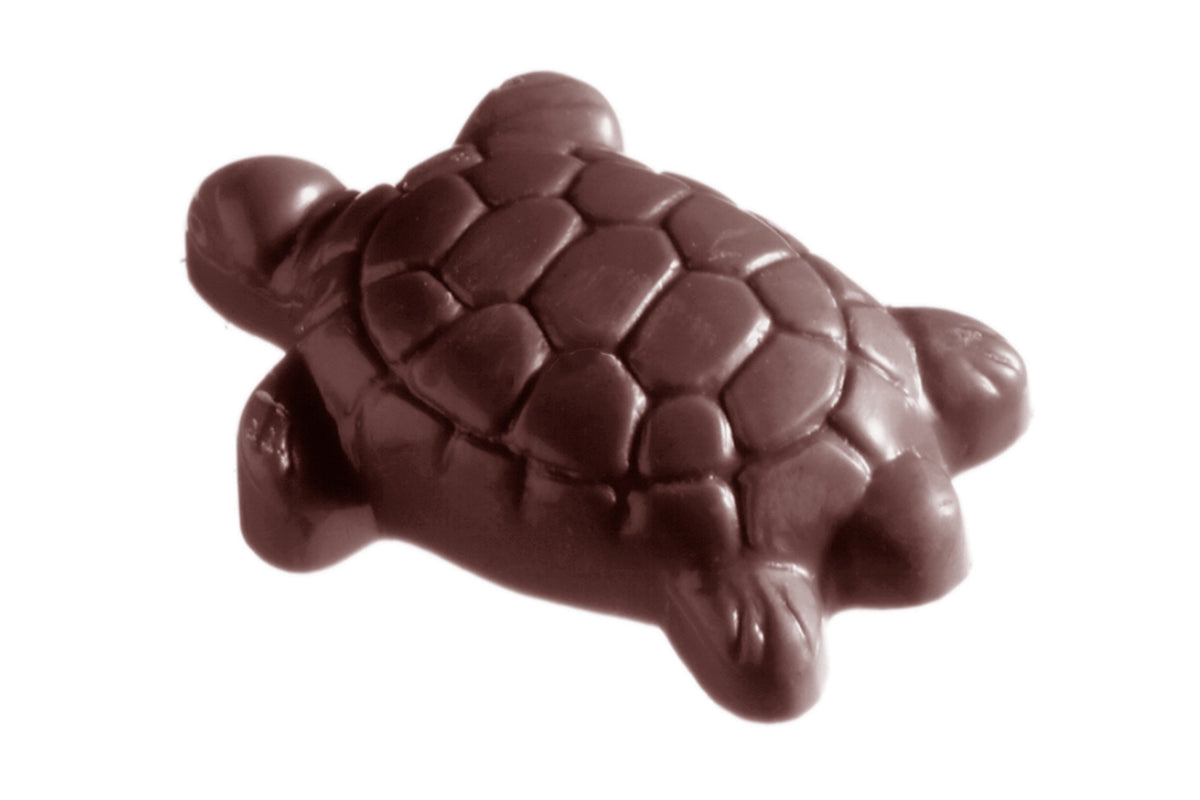 CW2222 - Chocolate World - Chocolate Turttle Polycarbonate Mould