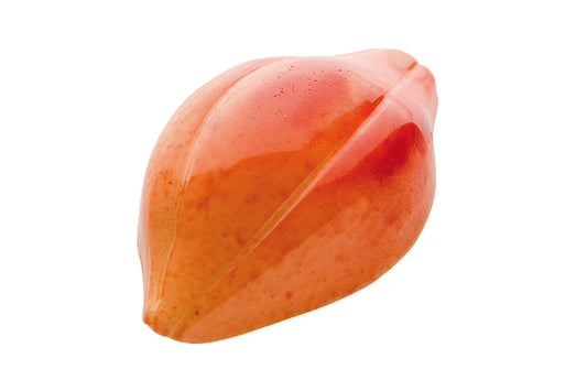 CF0101 - Chocolat Form - Chocolate Cocoa Bean Polycarbonate Mould