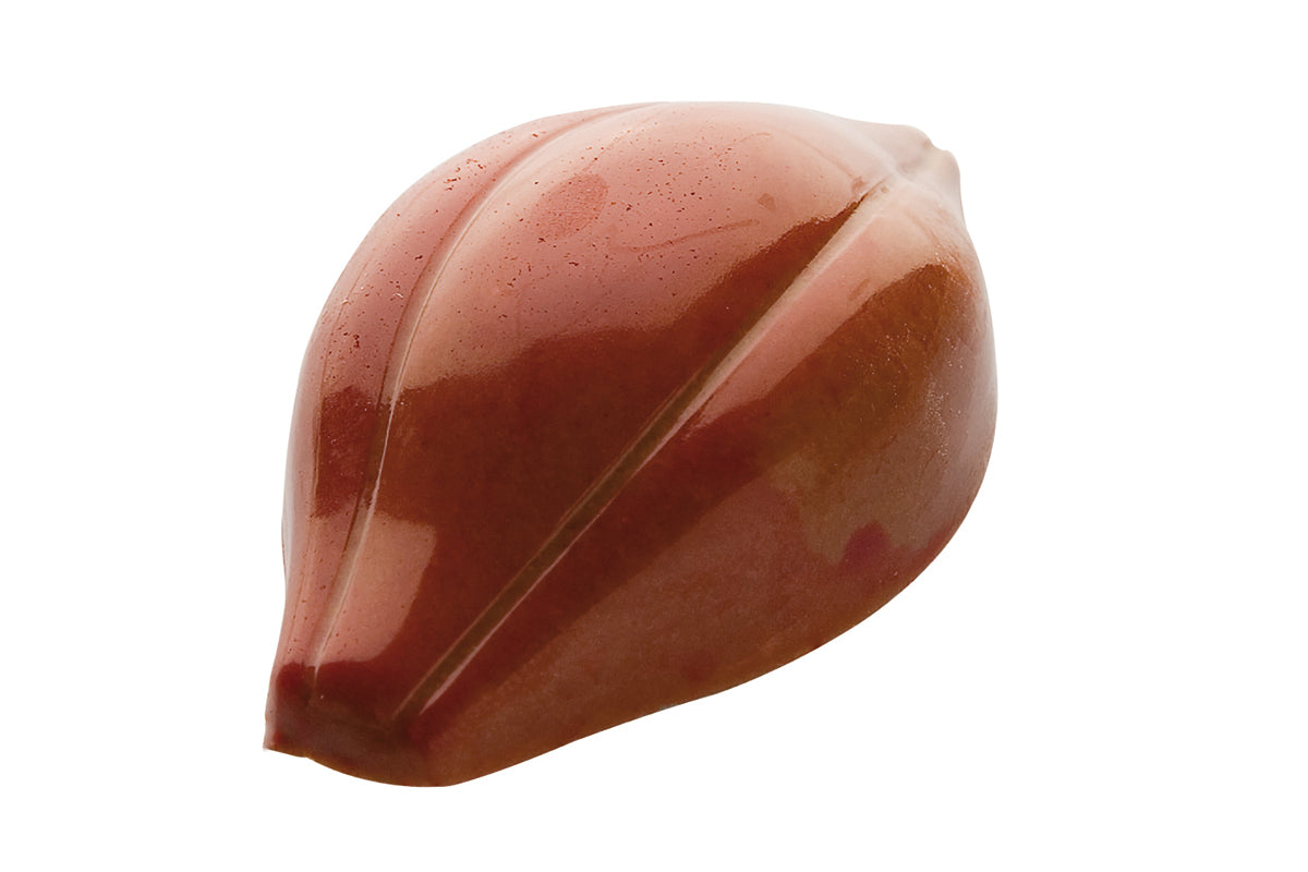 CF0101 - Chocolat Form - Chocolate Cocoa Bean Polycarbonate Mould