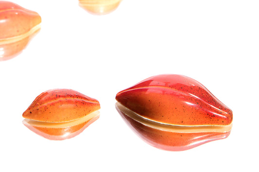 CF0104 - Chocolat Form - Chocolate Cocoa Bean Polycarbonate Mould
