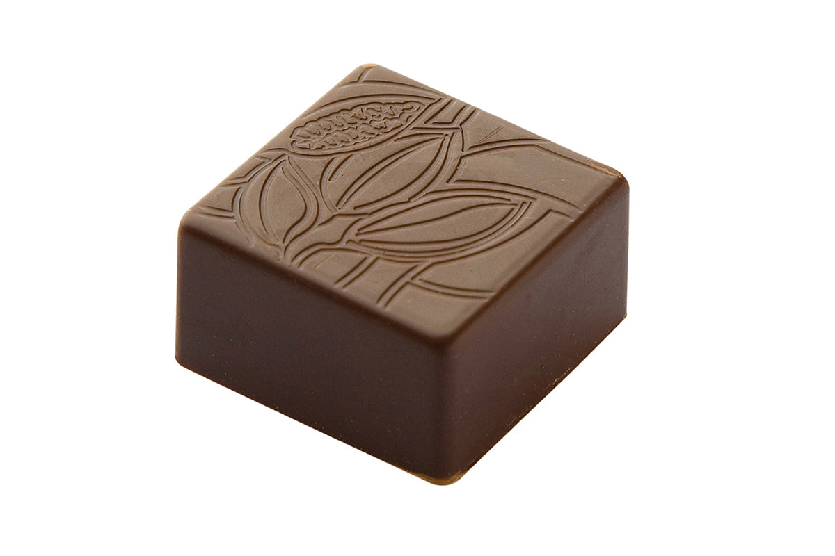 CF0203 - Chocolat Form - Praline Square Cocoa Bean Polycarbonate Mould