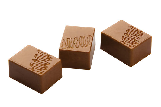 CF0401 - Chocolat Form - Rectangle Cocoa Logo Polycarbonate Mould