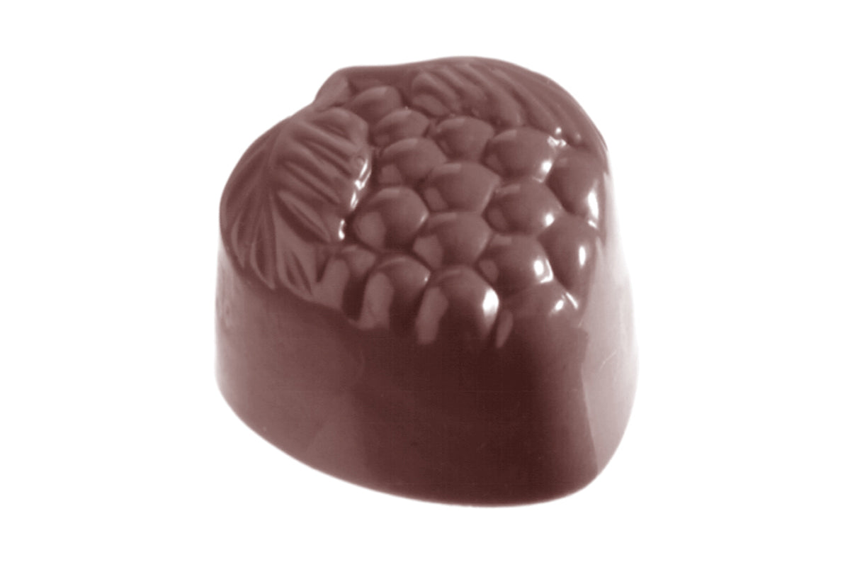 CW1063 - Chocolate World - Chocolate Raspberry Polycarbonate Mould