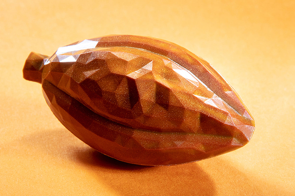 CW12000 - Chocolate World - Facet Cocoa Bean Polycarbonate Mould