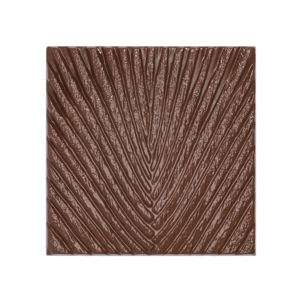 CW12181 - Chocolate World - Tablet Traveller's Tree Polycarbonate Mould