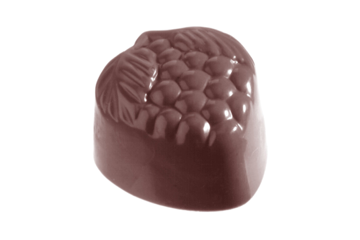 CW1440 - Chocolate World - Chocolate Raspberry Polycarbonate Mould