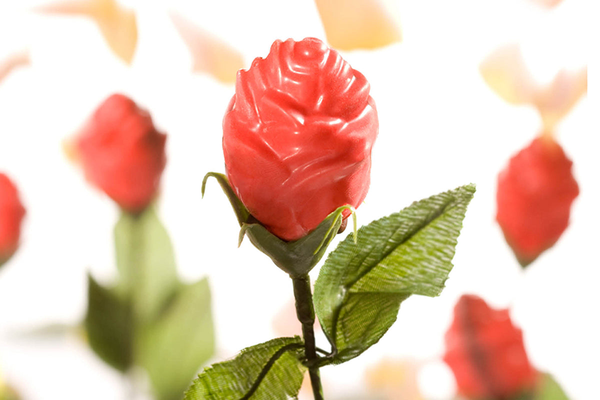 CW1550 - Chocolate World - Chocolate Rose Open Polycarbonate Mould