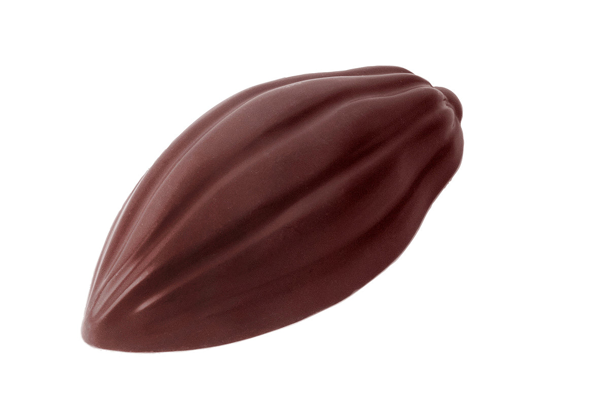 CW1558 - Chocolate World - Chocolate Cocoa Bean Polycarbonate Mould