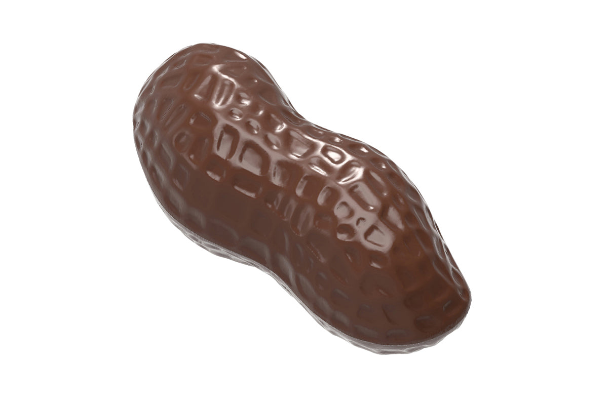 CW1578 - Chocolate World - Chocolate Peanut Polycarbonate Mould