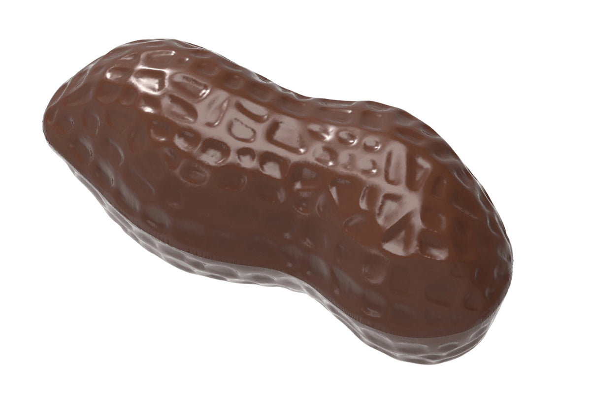 CW1578 - Chocolate World - Chocolate Peanut Polycarbonate Mould