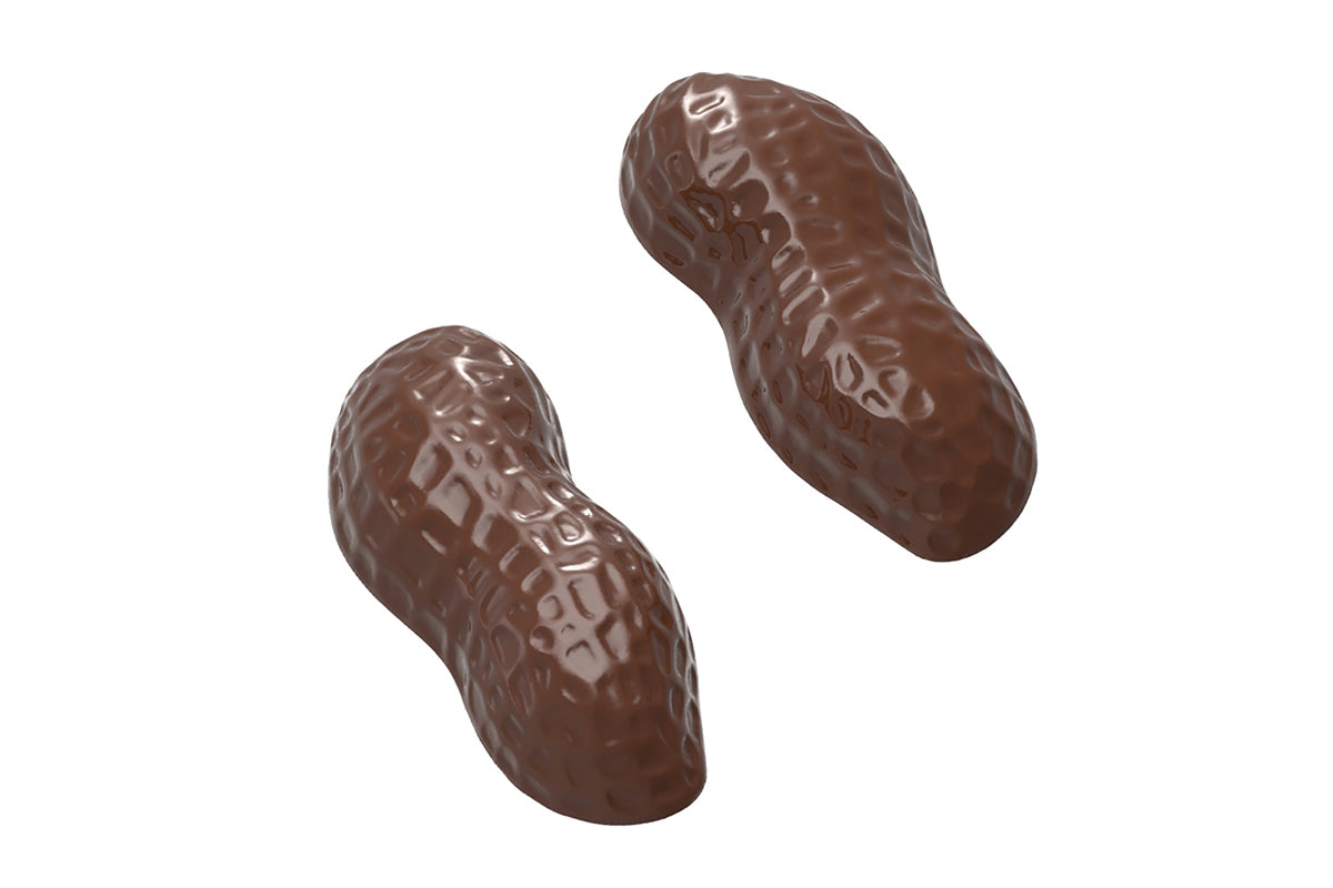 CW1578 - Chocolate World - Chocolate Peanut Polycarbonate Mould