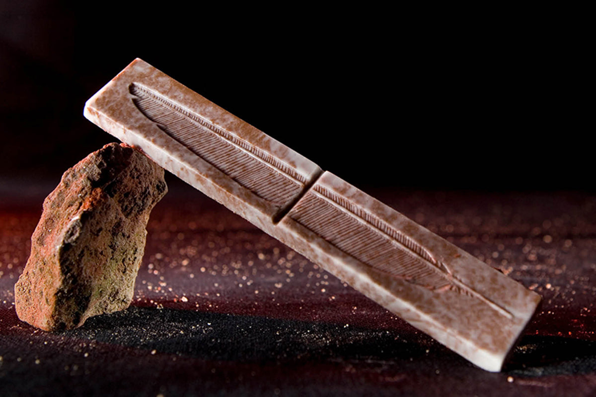 CW1611 - Chocolate World - Feather By Diego Lozano Polycarbonate Mould