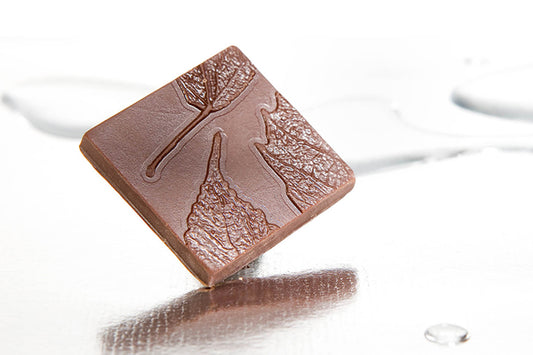 CW1669 - Chocolate World - Chocolate Cocoa Leaf Polycarbonate Mould