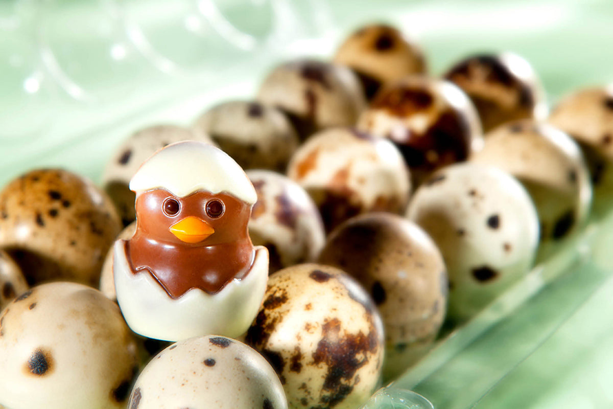 CW1786 - Chocolate World - Chocolate Chick From Egg Polycarbonate Mould