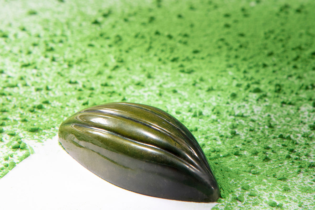 CW1798 - Chocolate World - Cocoa Bean With 6 Lines Polycarbonate Mould