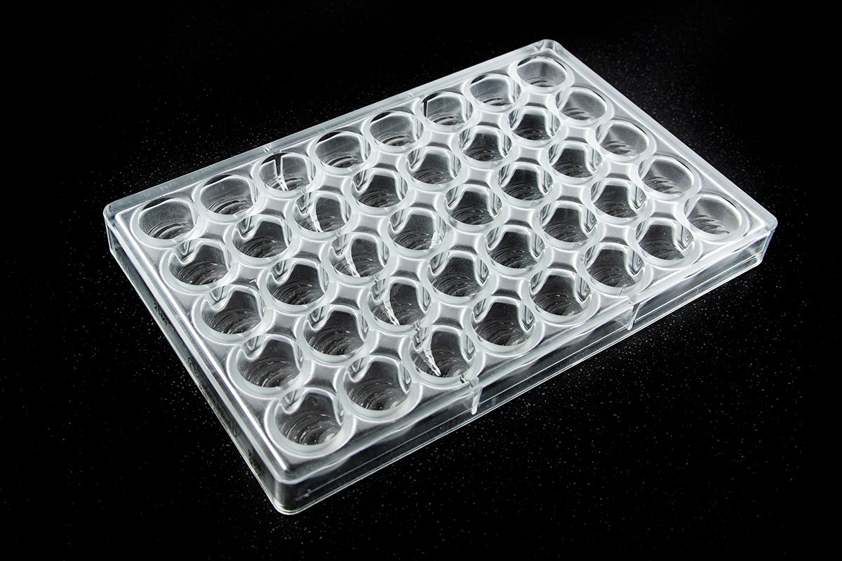 CW2169 - Chocolate World - Chocolate Cherry Polycarbonate Mould