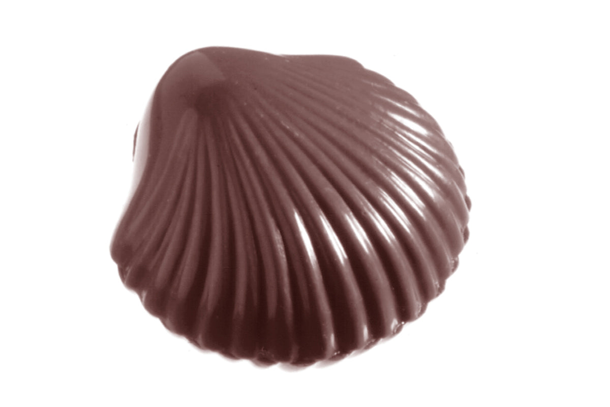 CW2281 - Chocolate World - Chocolate Small Shell Polycarbonate Mould