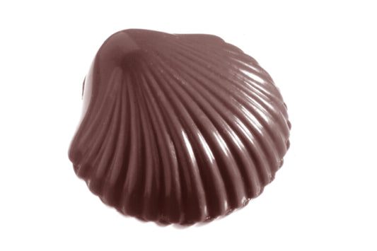 CW2281 - Chocolate World - Chocolate Small Shell Polycarbonate Mould