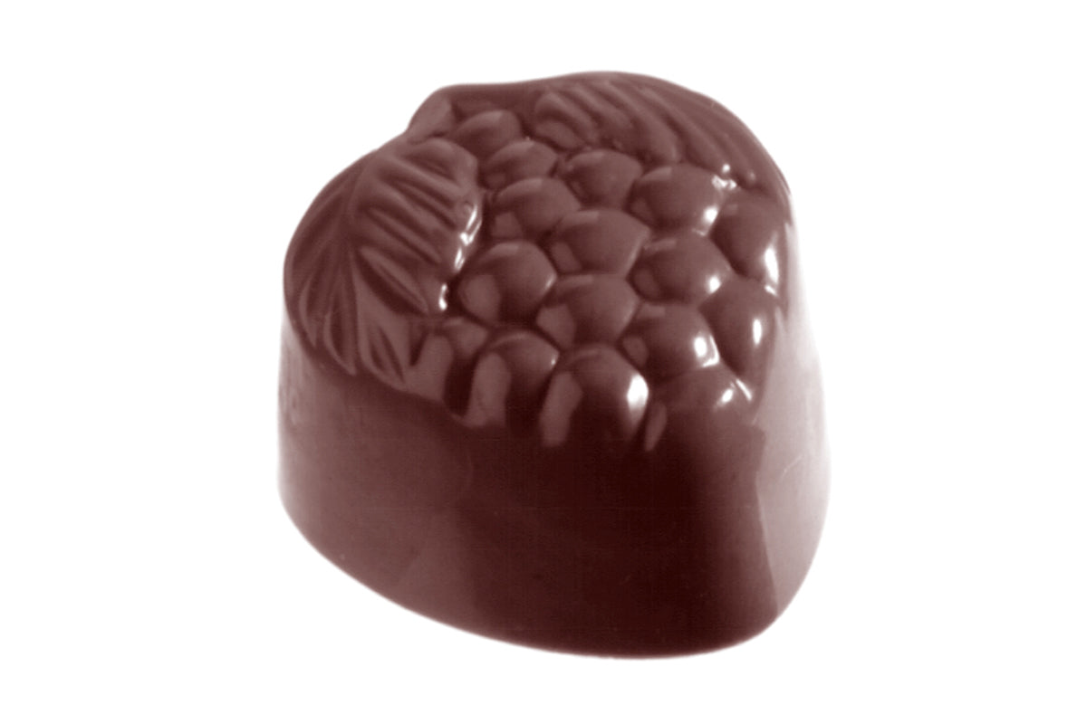 CW2330 - Chocolate World - Chocolate Raspberry Polycarbonate Mould